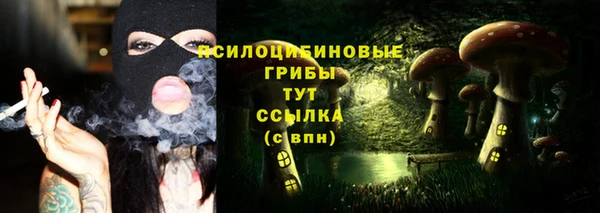 прущие крисы Абинск