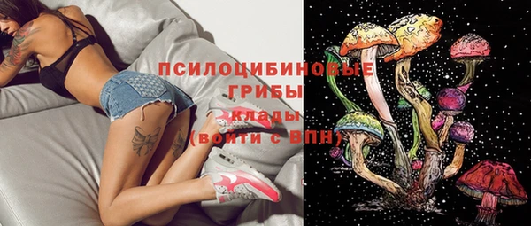 прущие крисы Абинск