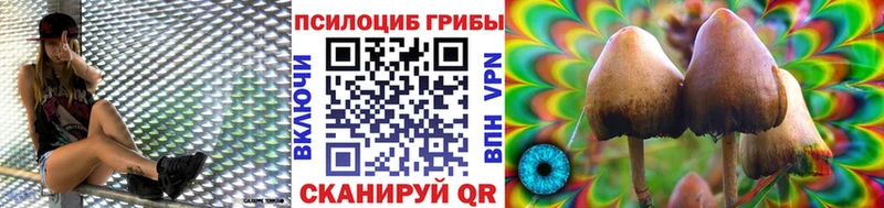 Галлюциногенные грибы GOLDEN TEACHER наркошоп blacksprut ONION Анадырь